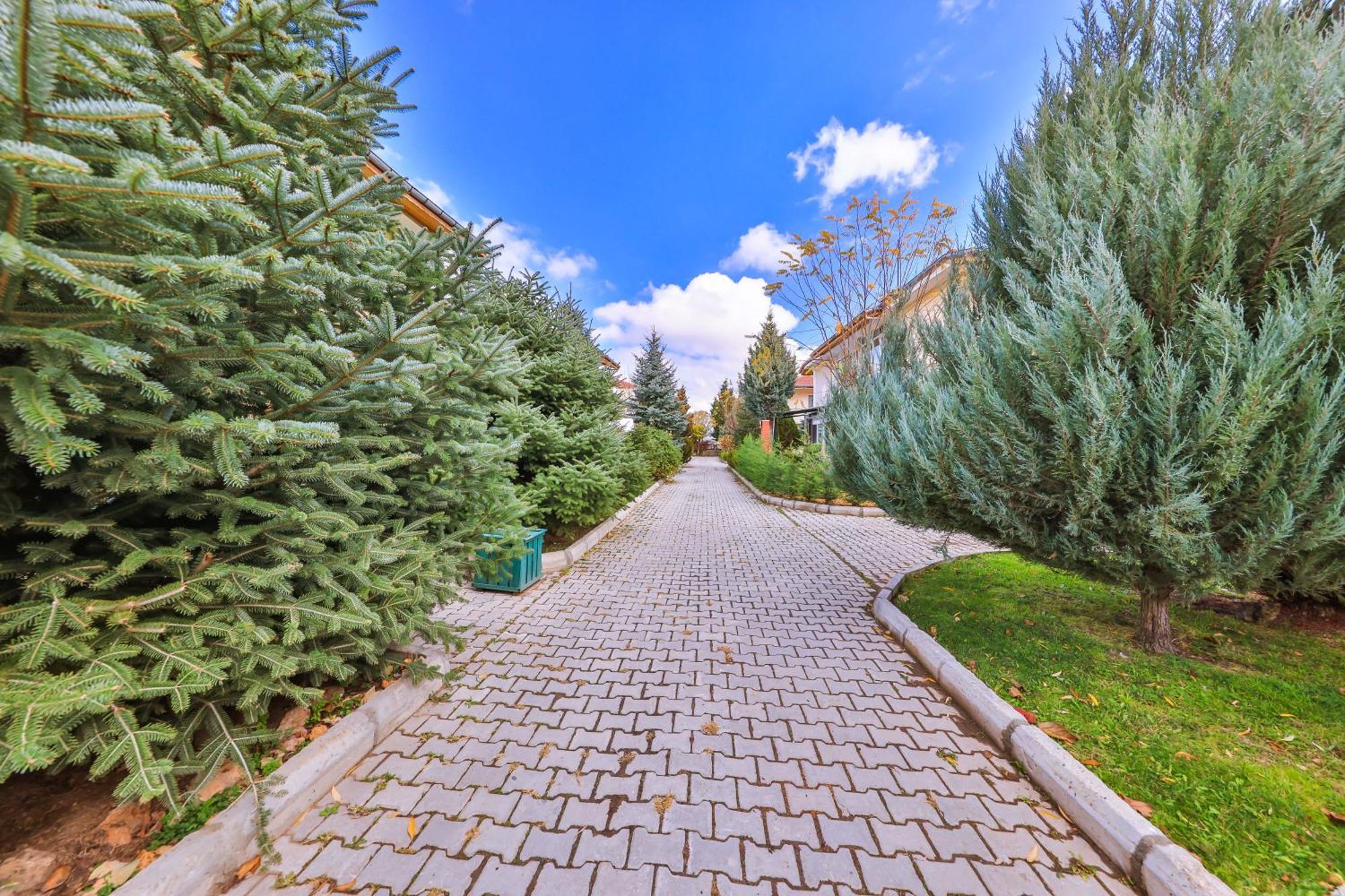 Afyon Dundar Thermal Villa Afyonkarahisar Exterior foto